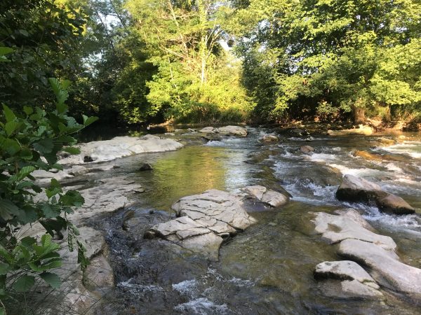 03EBF8BC-22AC-4D68-86CB-6129AE6A26B5