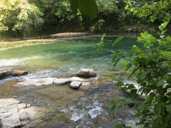 38FD2EF0-A87D-48D4-B132-E9C83518BD1F