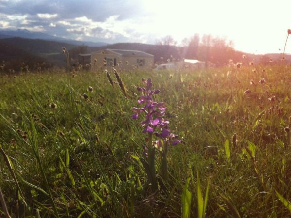 Camping à la ferme | Hébergement 4 étoiles en Ariège