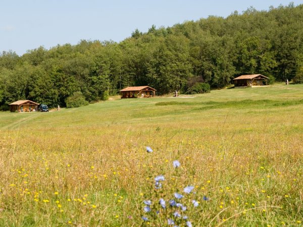 Chalets camping foret | Camping 4 étoiles en Ariège